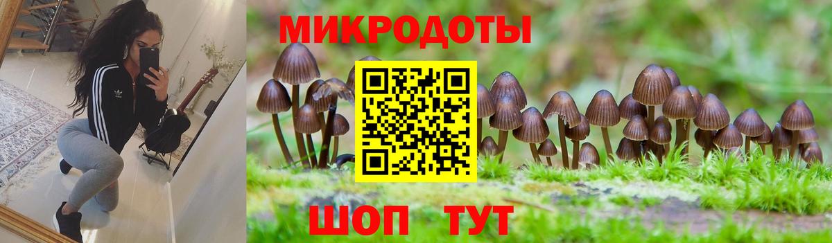 Псилоцибиновые грибы MAGIC MUSHROOMS Красноперекопск